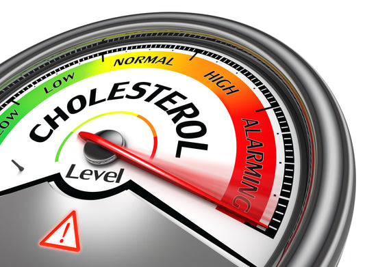 fish oil cholesterol