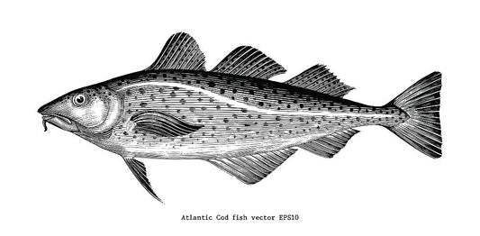 cod liver oil