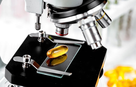 best fish oil supplement