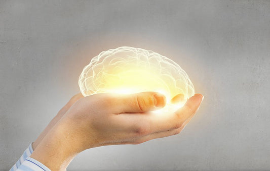 fish oil brain health TBI