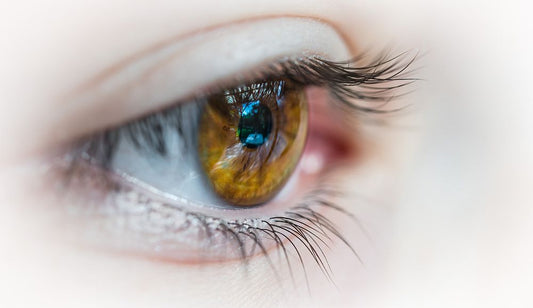 fish oil omega-3 eye health|fish oil omega-3 eye health