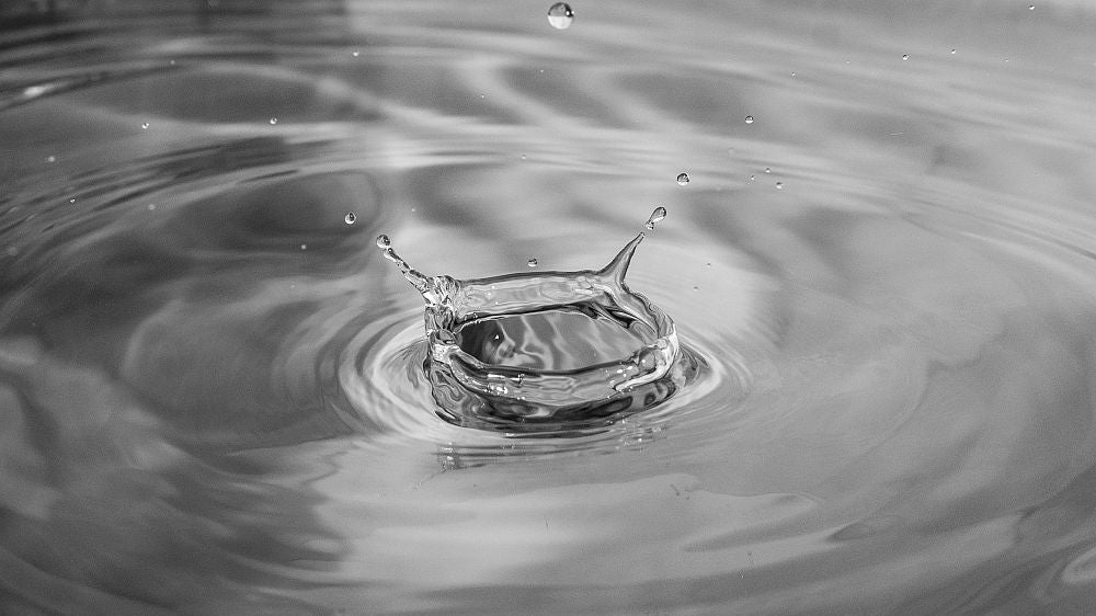 molecular distilled fish oil