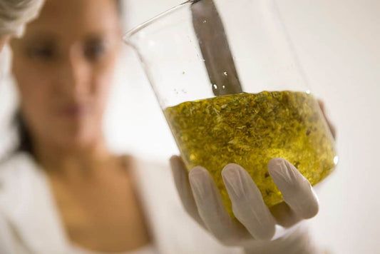 pharmaceutical grade fish oil|pharmaceutical grade fish oil