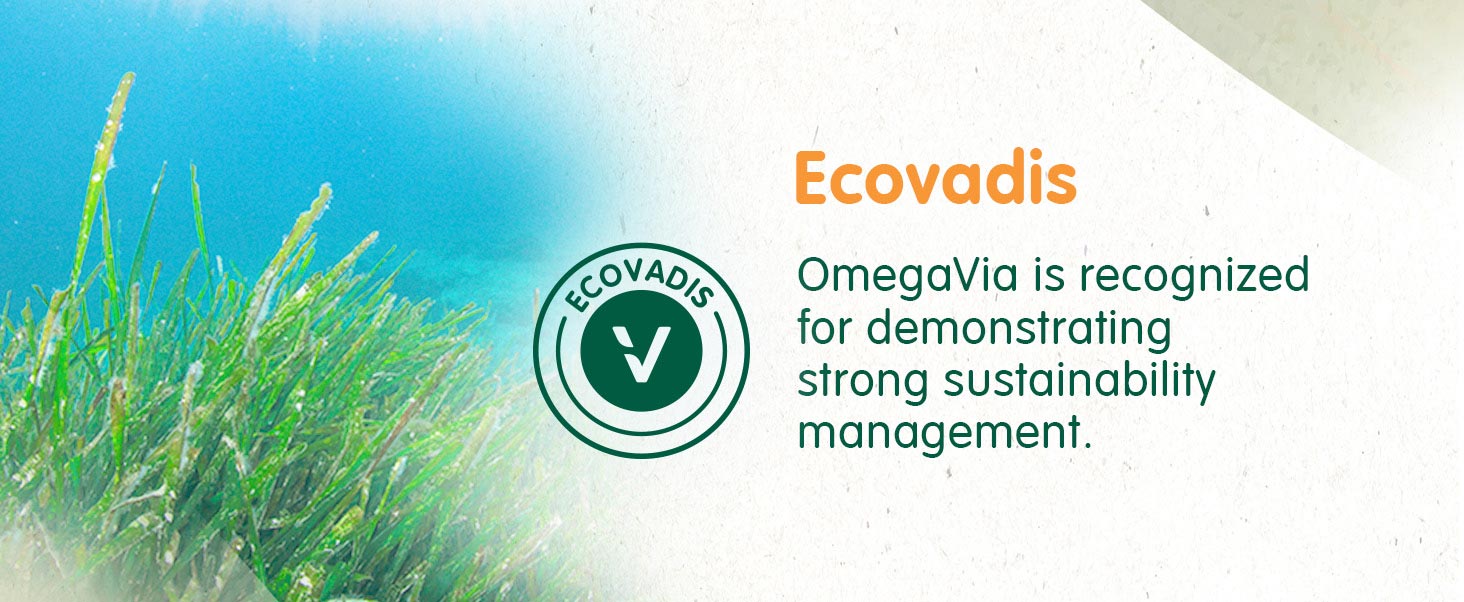 Ecovadis infographic