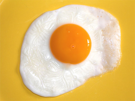 fish oil_egg_cholesterol